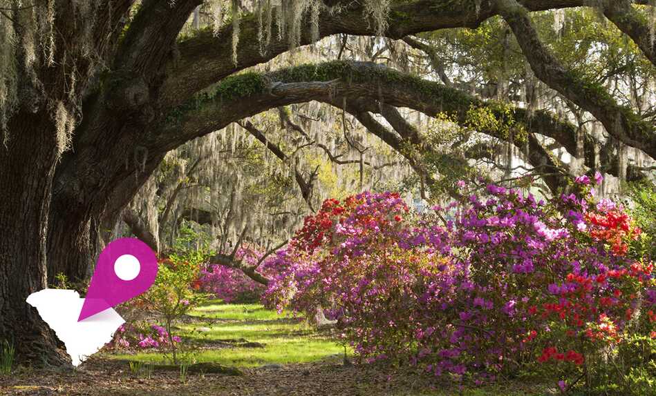 South Carolina