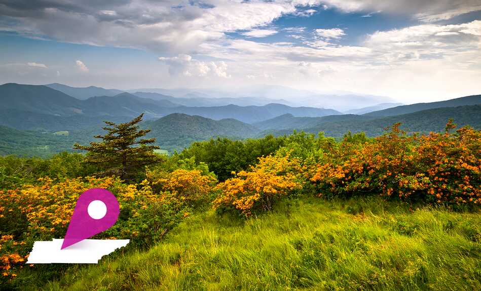 Tennessee