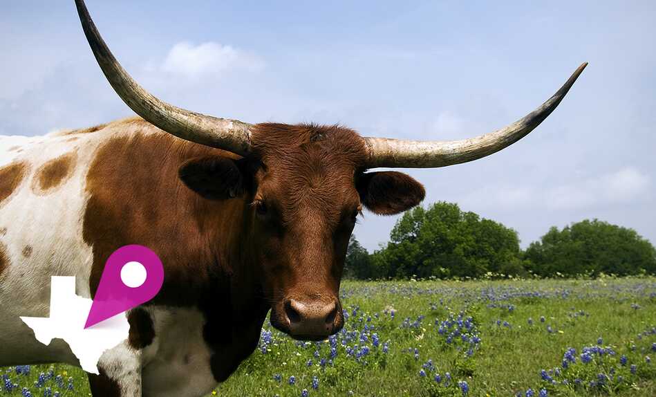 Texas