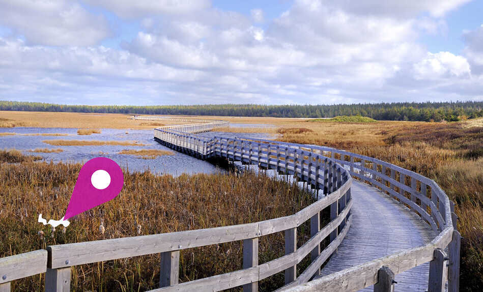 Prince Edward Island