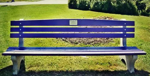 Purple Benches Honor Domestic Violence Victims