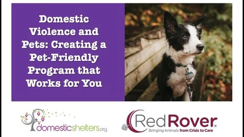 Domestic Violence Shelters and Pets: Creating a Pet-Friendly Program that Works for You