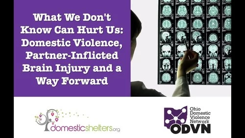 What We Don't Know Can Hurt Us: Domestic Violence, Partner-Inflicted Brain Injury and a Way Forward