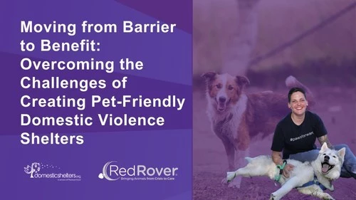 From Barrier to Benefit: Overcoming Challenges of Creating Pet-Friendly Domestic Violence Shelters